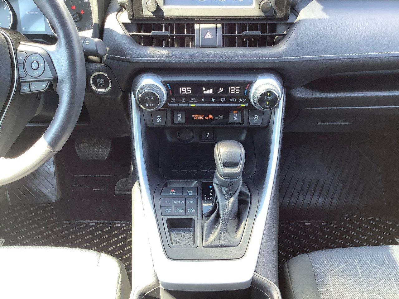 2022 Toyota RAV4 XLE AWD XLE Photo