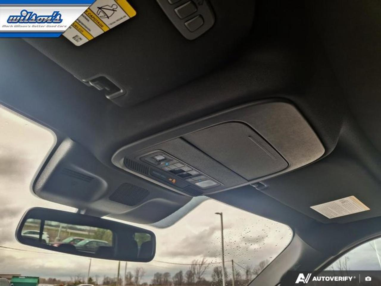 2025 Ford Expedition Platinum Max | Stealth Appearance Pkg | New Pirelli's | Blue Cruise | 22"s | Leather | Pano Roof | Photo