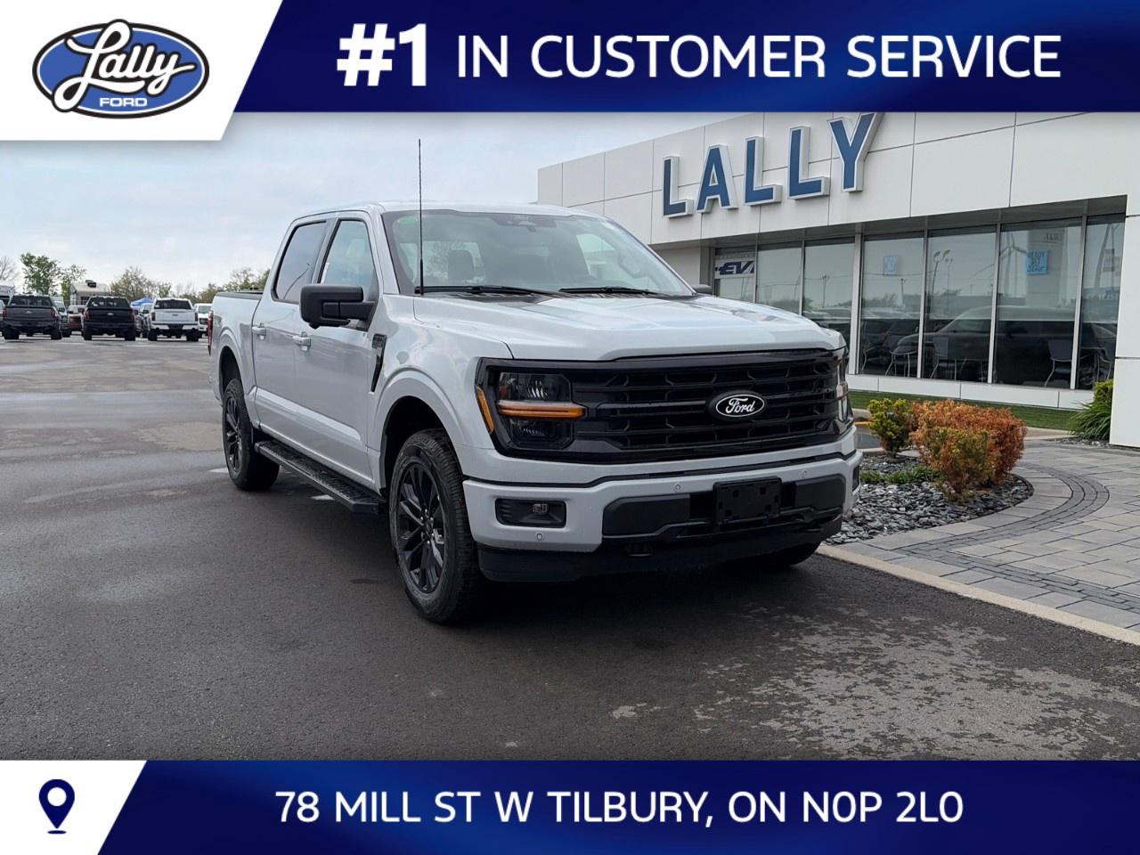 2026 Ford F-150 XLT 4WD SuperCrew 5.5' Box Photo0
