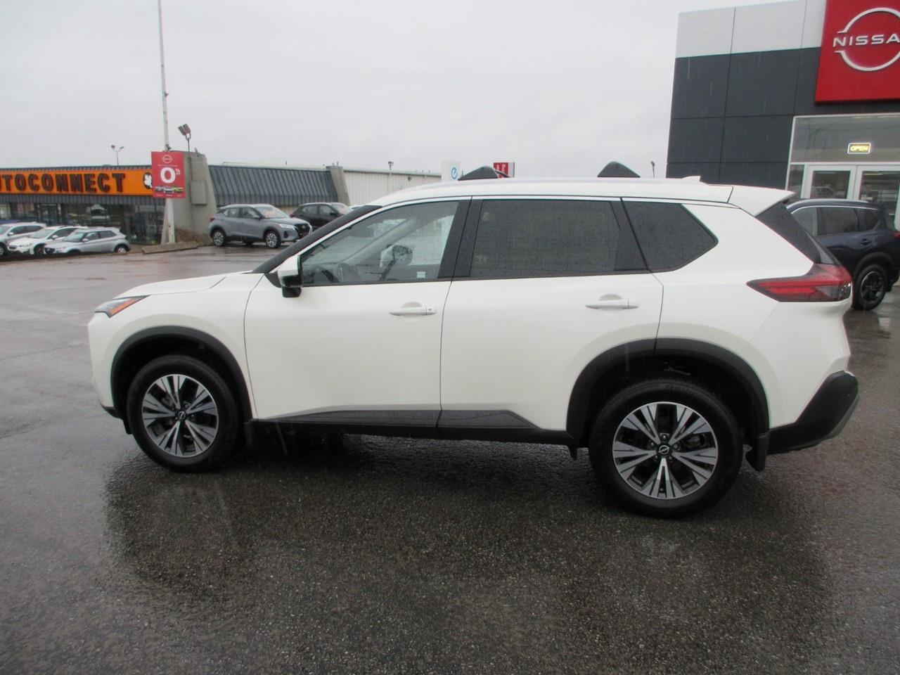 2023 Nissan Rogue  Photo