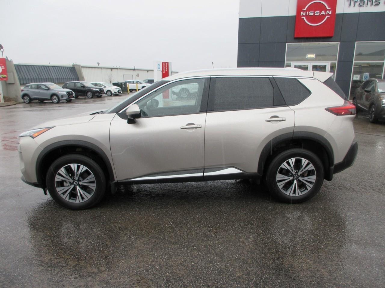 2023 Nissan Rogue  Photo