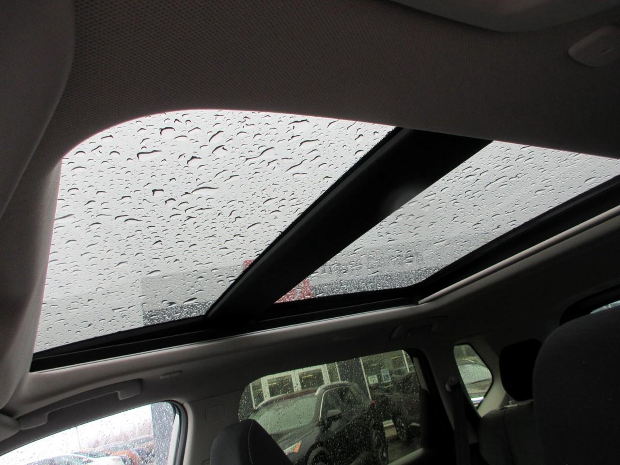 2023 Nissan Rogue  Photo