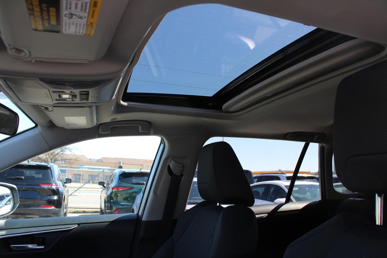 2025 Toyota RAV4 XLE AWD Photo