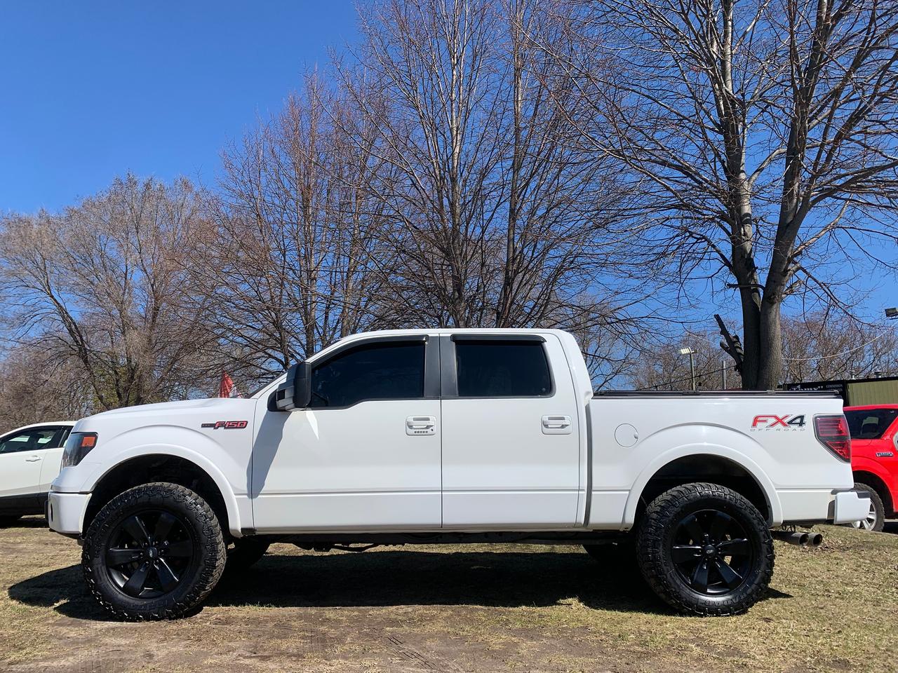 2013 Ford F-150 FX4 Photo