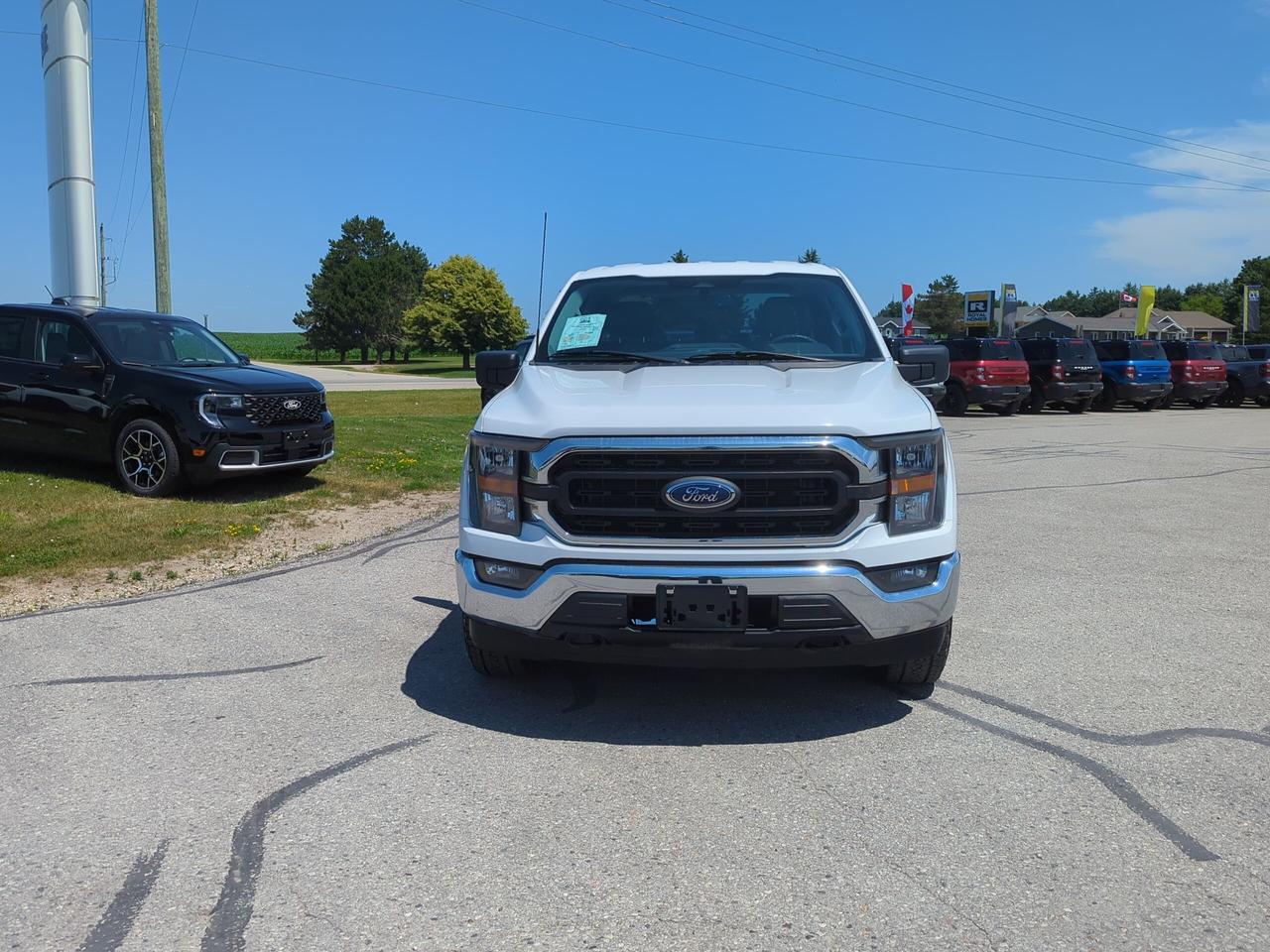 2023 Ford F-150 XLT 4WD SuperCrew 5.5' Box Photo1