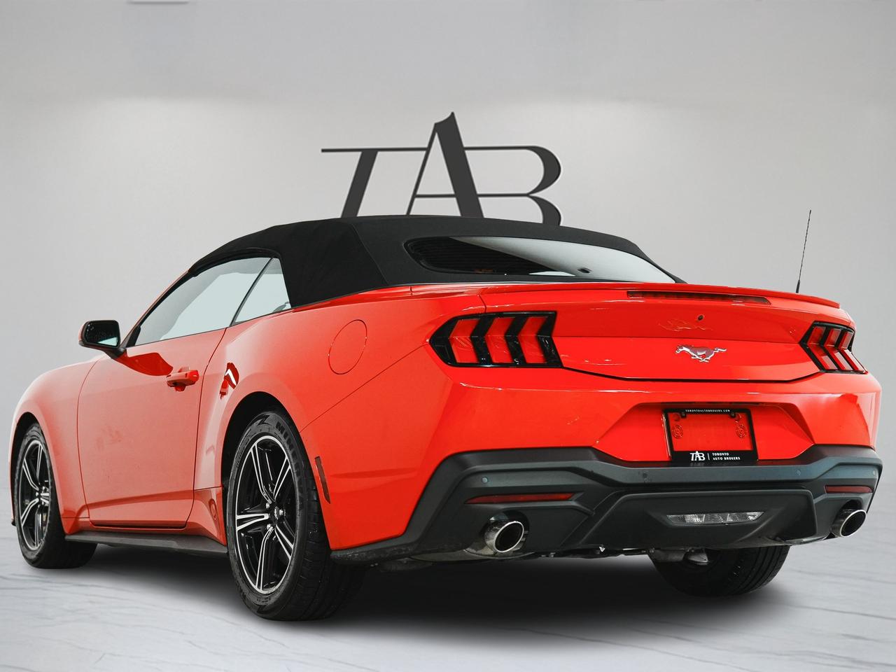 2025 Ford Mustang ECOBOOST PREMIUM | CONVERTIBLE | CARPLAY Photo4