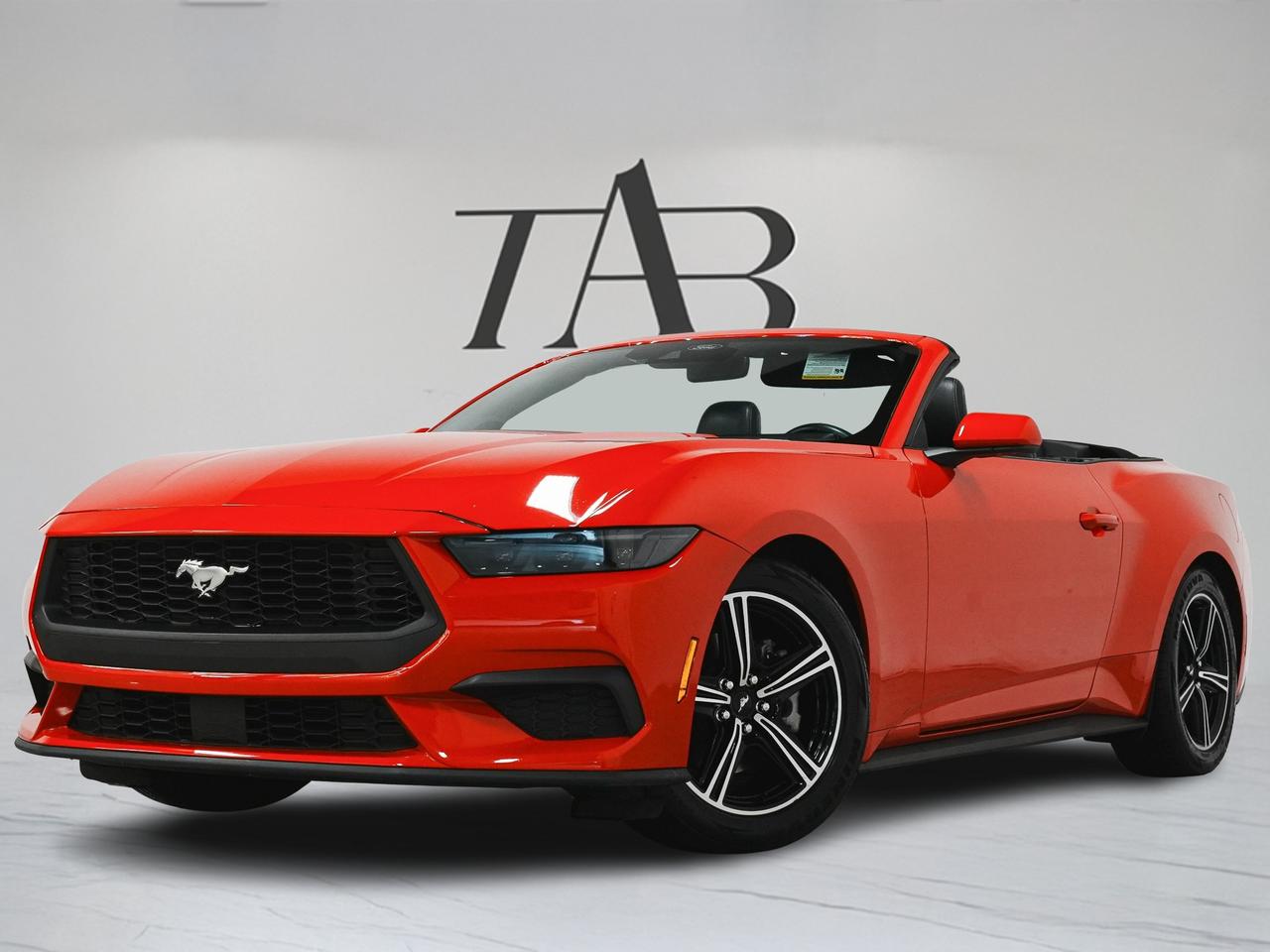 2025 Ford Mustang ECOBOOST PREMIUM | CONVERTIBLE | CARPLAY Photo