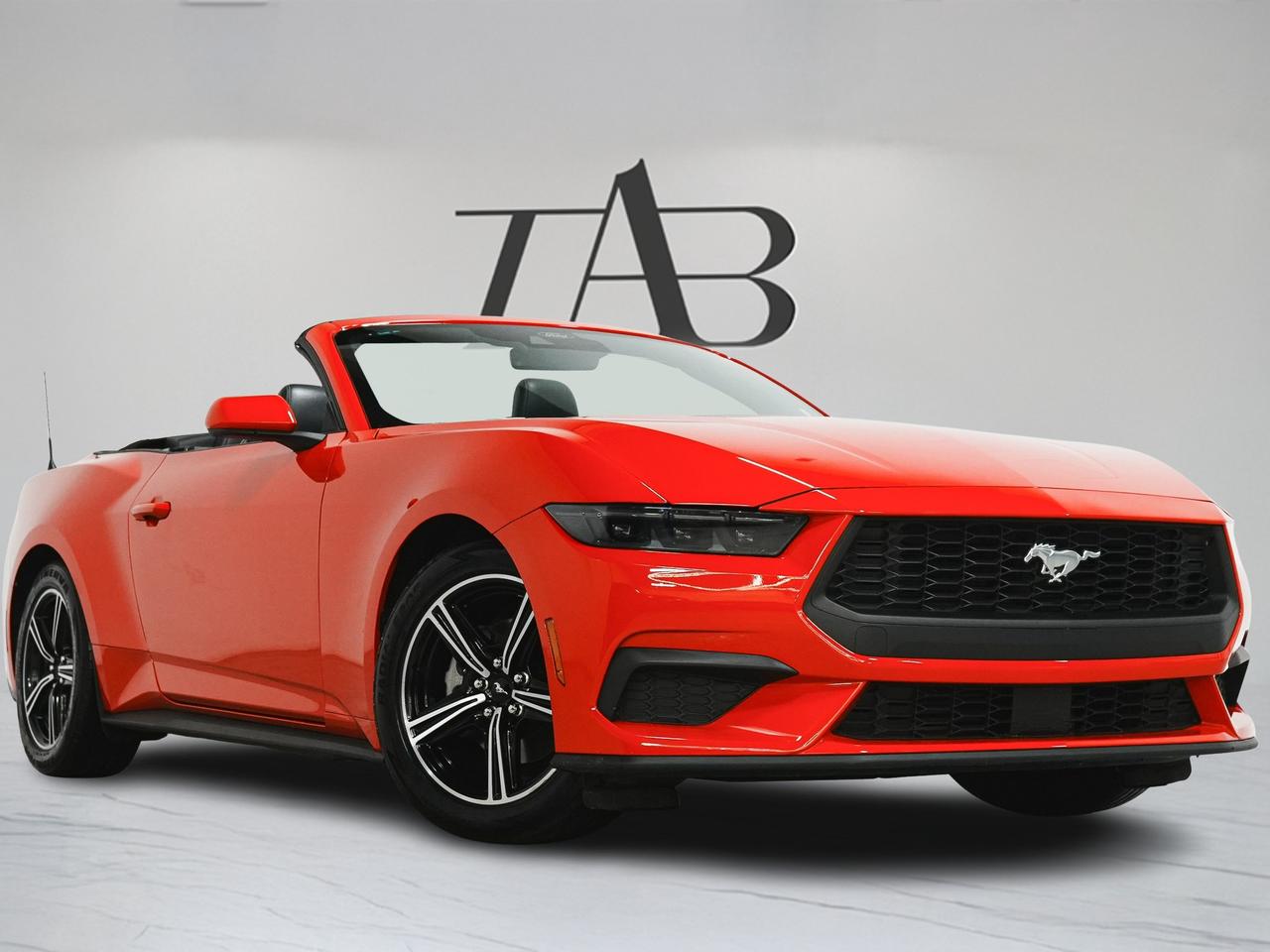 2025 Ford Mustang ECOBOOST PREMIUM | CONVERTIBLE | CARPLAY Photo