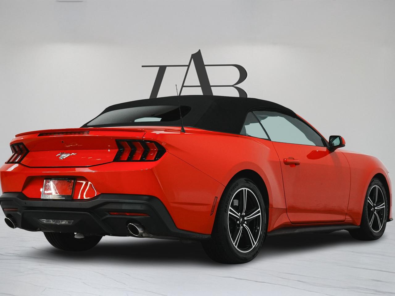 2025 Ford Mustang ECOBOOST PREMIUM | CONVERTIBLE | CARPLAY Photo
