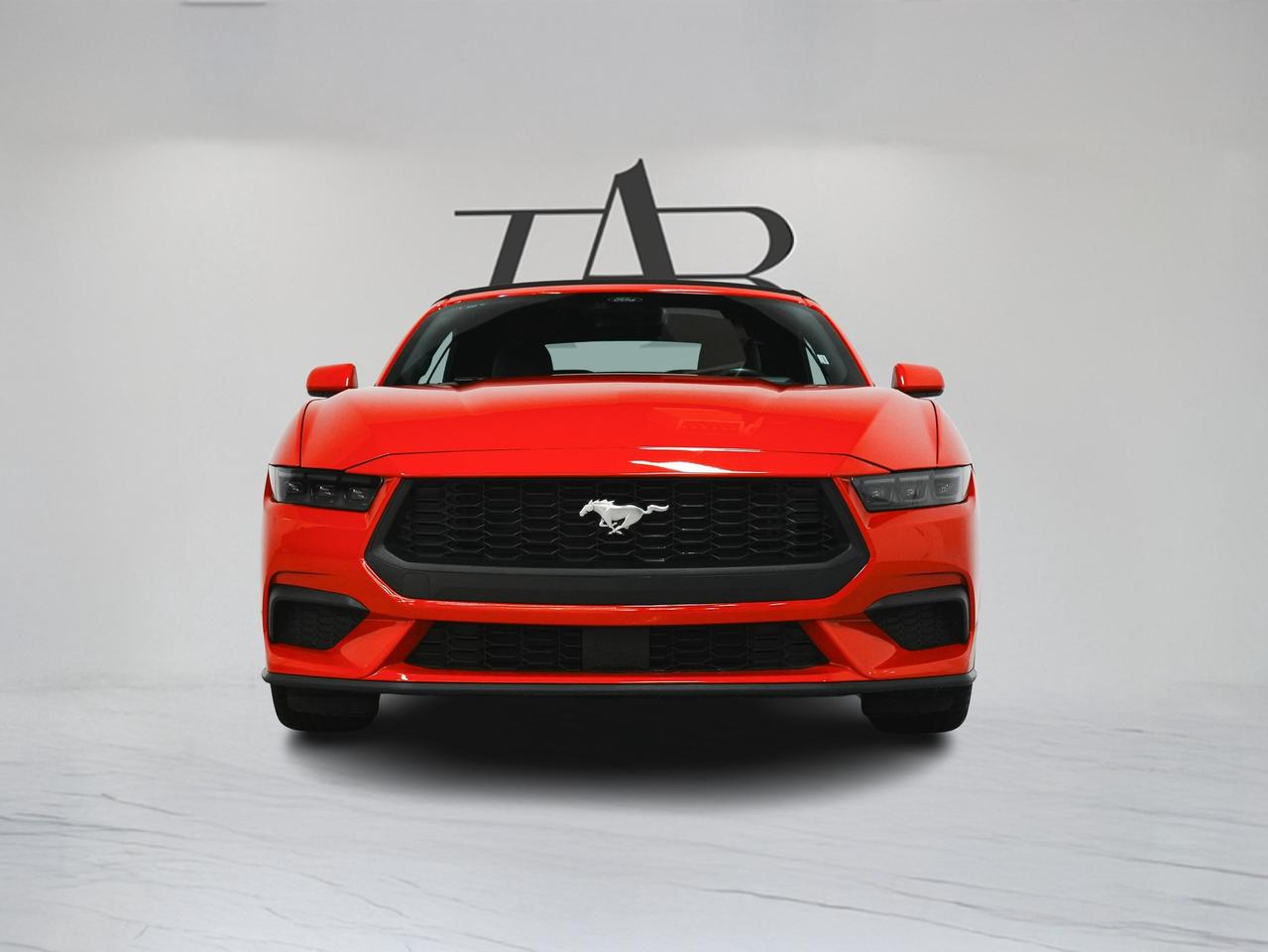 2025 Ford Mustang ECOBOOST PREMIUM | CONVERTIBLE | CARPLAY Photo