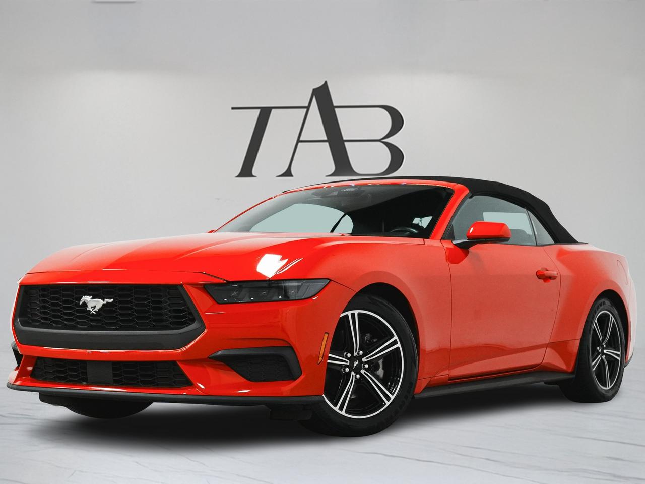 2025 Ford Mustang ECOBOOST PREMIUM | CONVERTIBLE | CARPLAY Photo