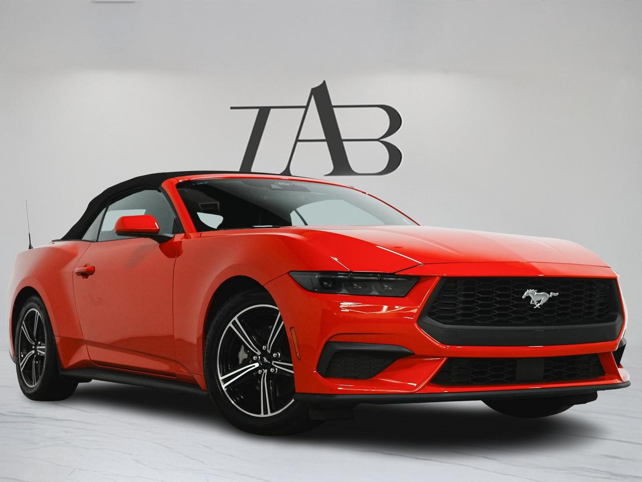 2025 Ford Mustang ECOBOOST PREMIUM | CONVERTIBLE | CARPLAY Photo