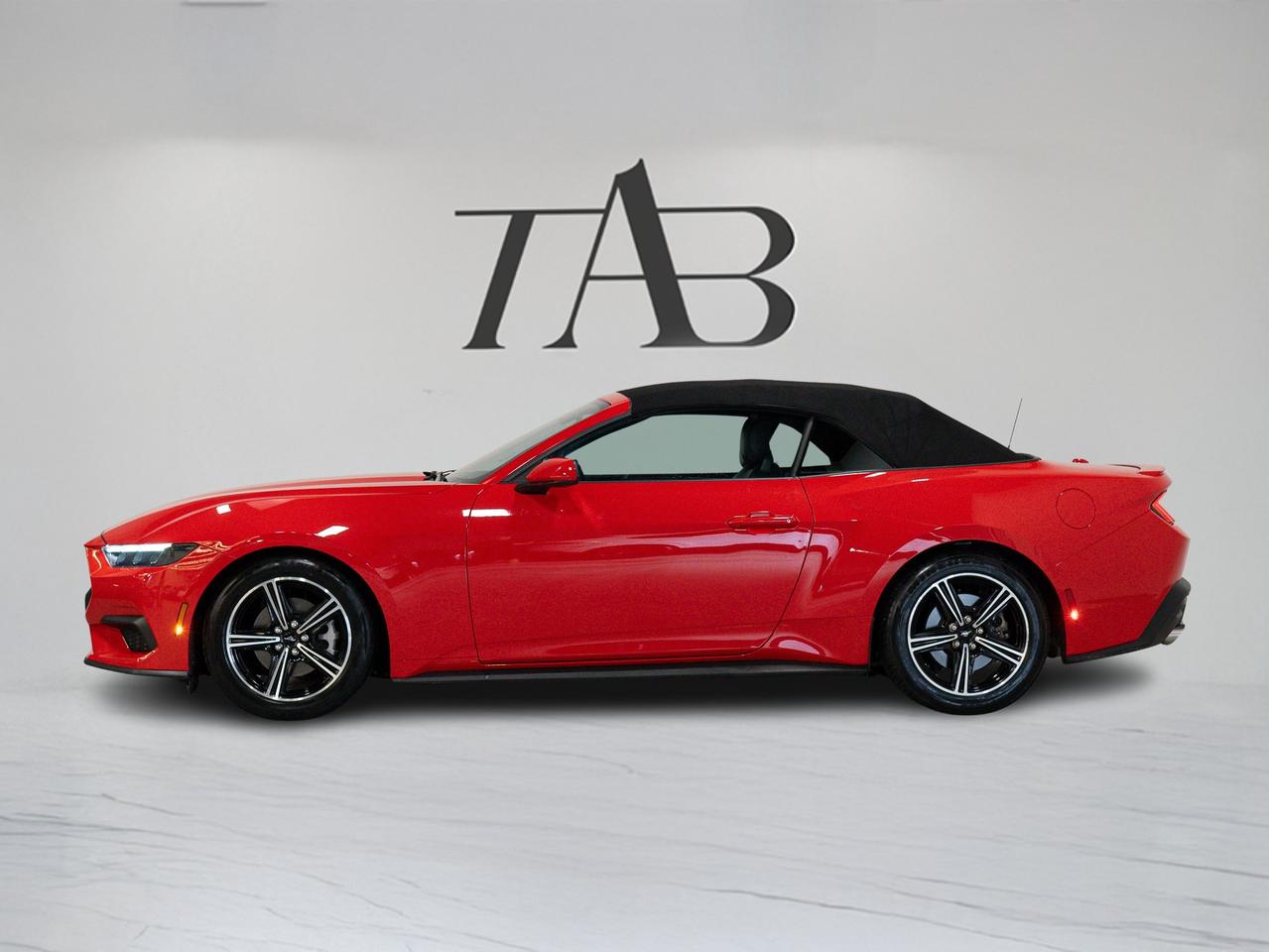 2025 Ford Mustang ECOBOOST PREMIUM | CONVERTIBLE | CARPLAY Photo