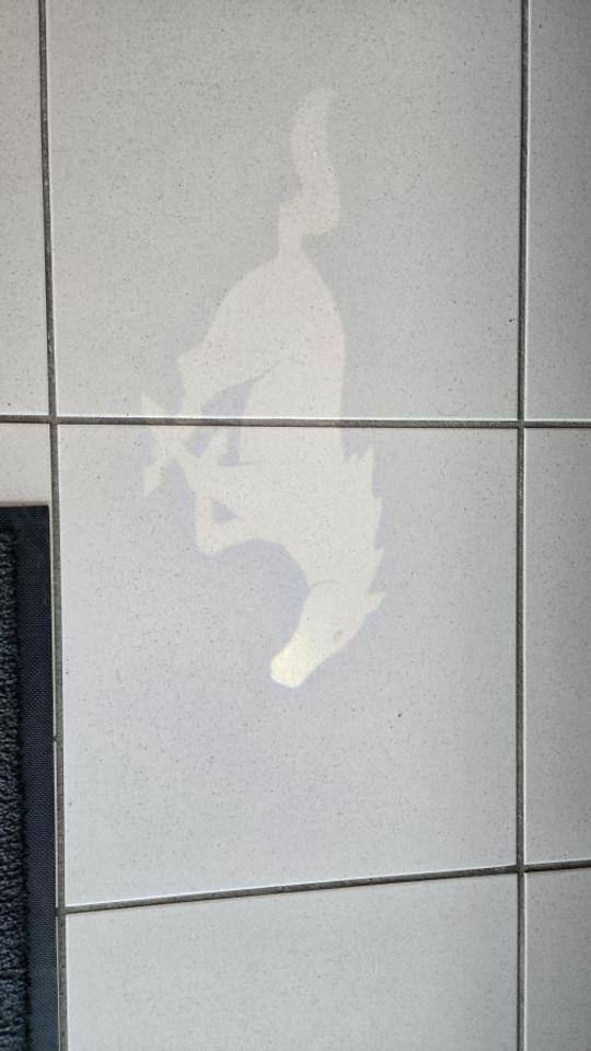 2023 Ford Mustang GT Premium Photo