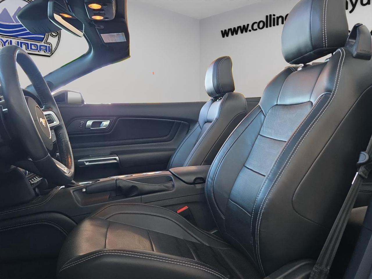 2023 Ford Mustang GT Premium Photo