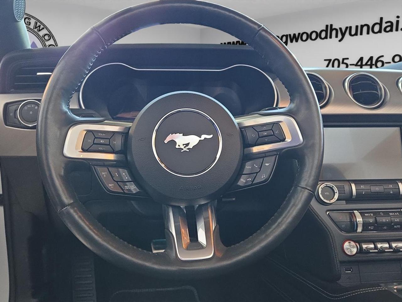 2023 Ford Mustang GT Premium Photo