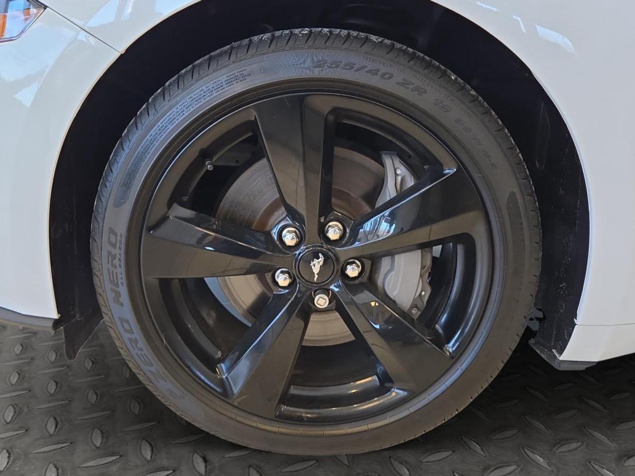 2023 Ford Mustang GT Premium Photo
