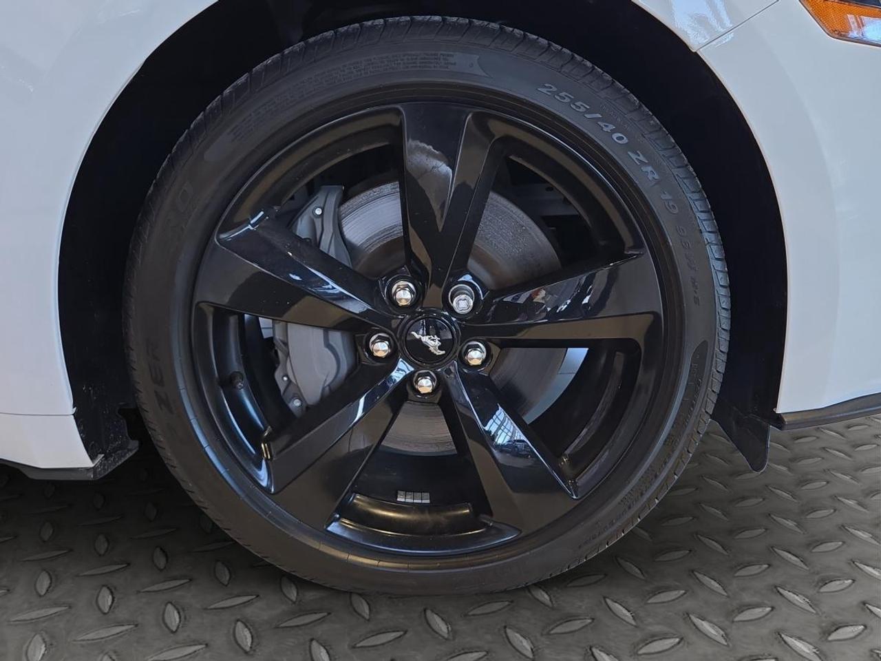 2023 Ford Mustang GT Premium Photo