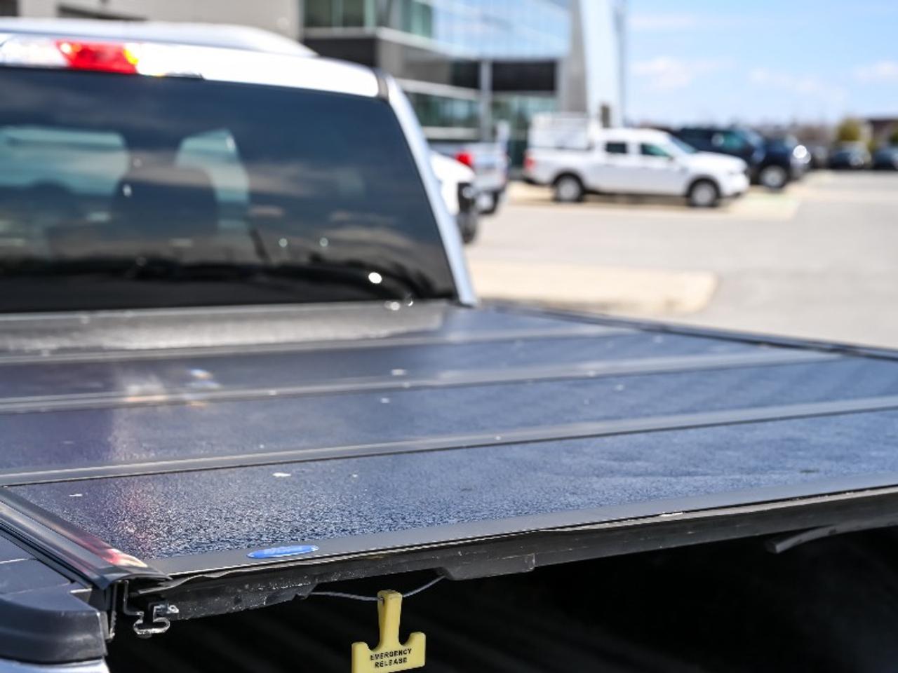 2020 Ford F-150 XLT Photo