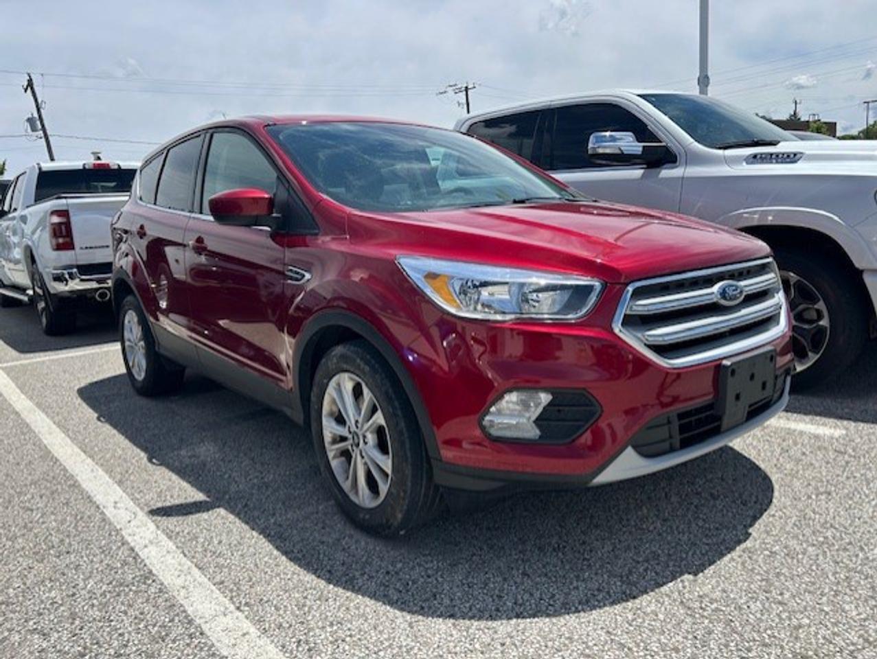 2019 Ford Escape SE FWD Photo
