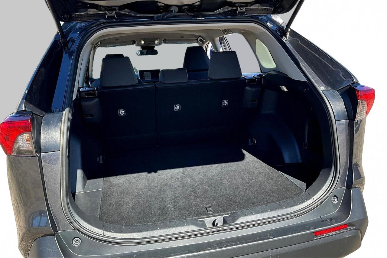 2024 Toyota RAV4 LE Photo