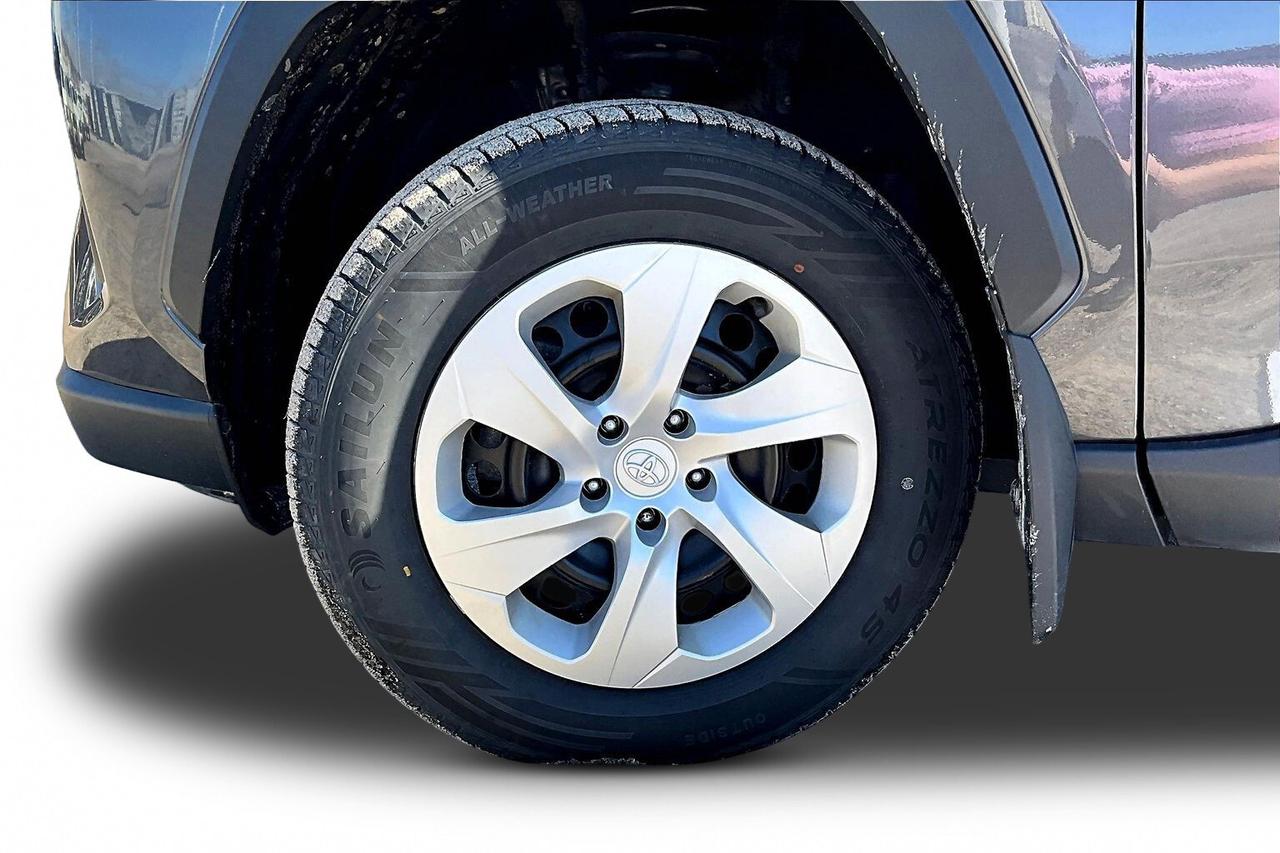 2024 Toyota RAV4 LE Photo
