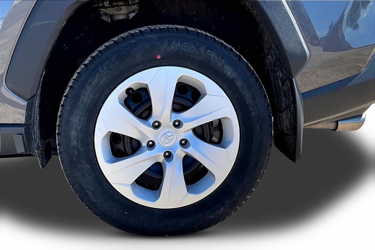 2024 Toyota RAV4 LE Photo