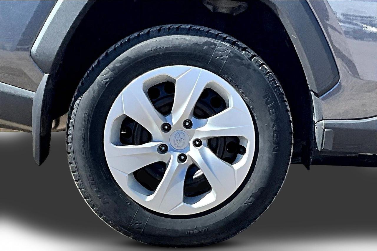 2024 Toyota RAV4 LE Photo