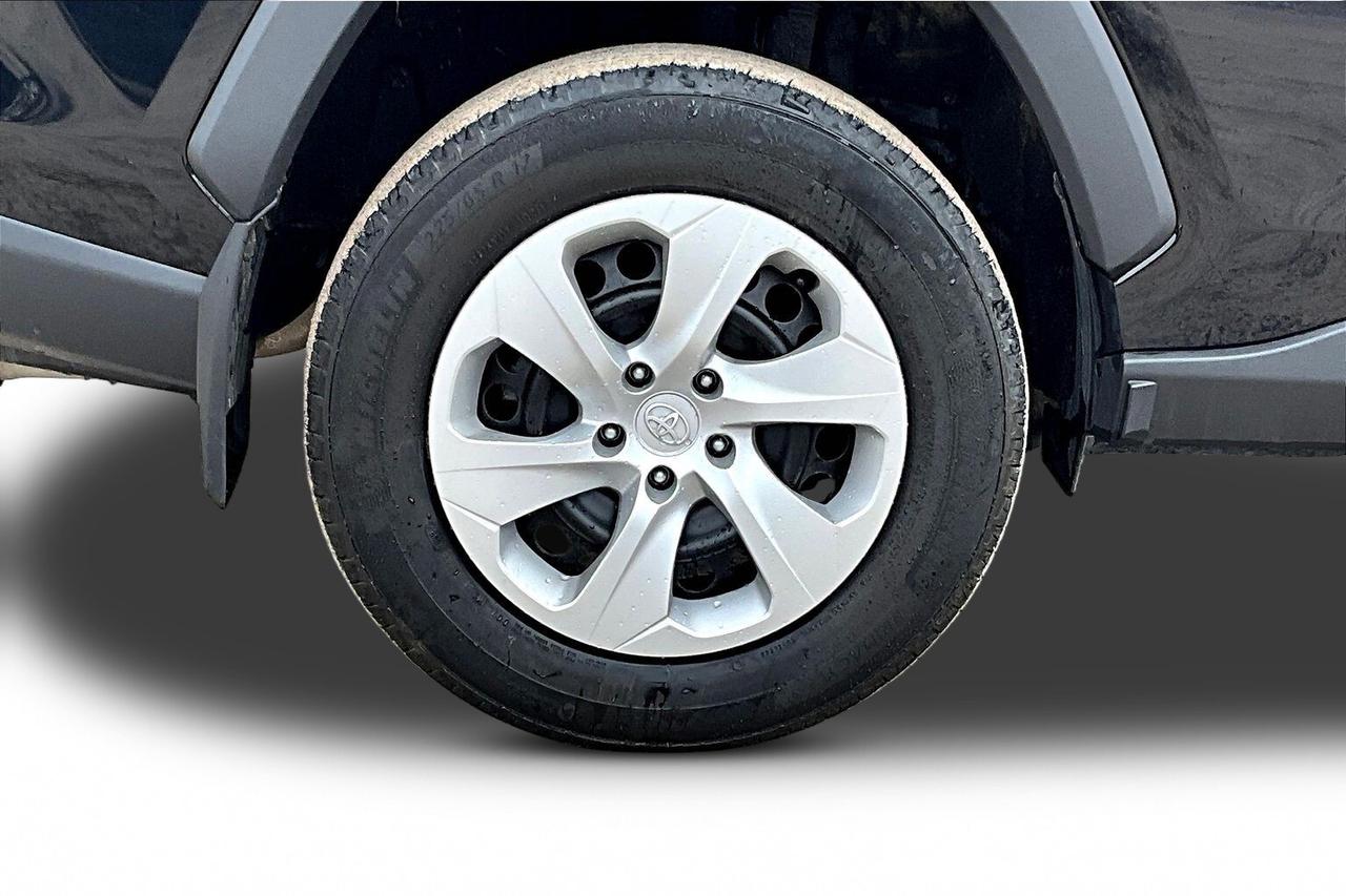 2024 Toyota RAV4 LE Photo