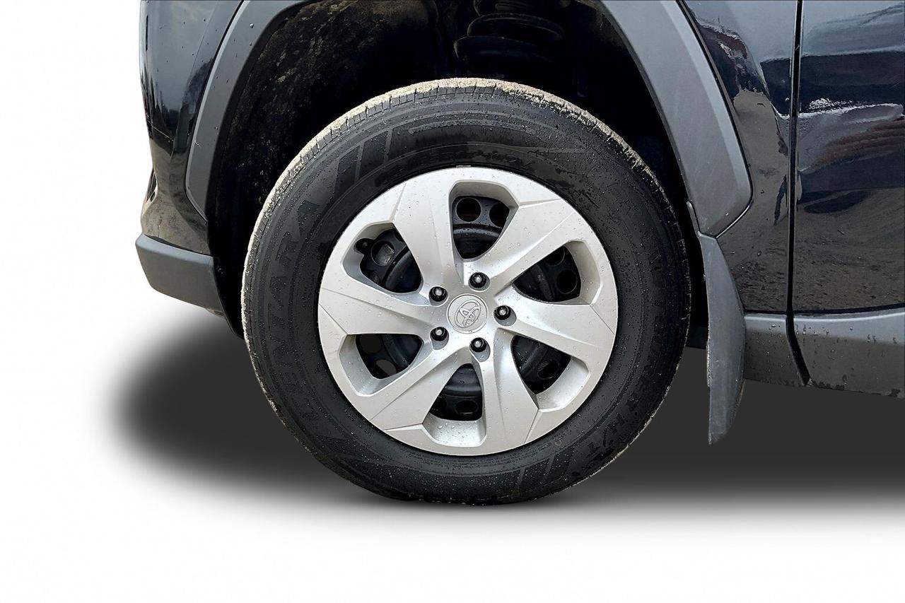 2024 Toyota RAV4 LE Photo