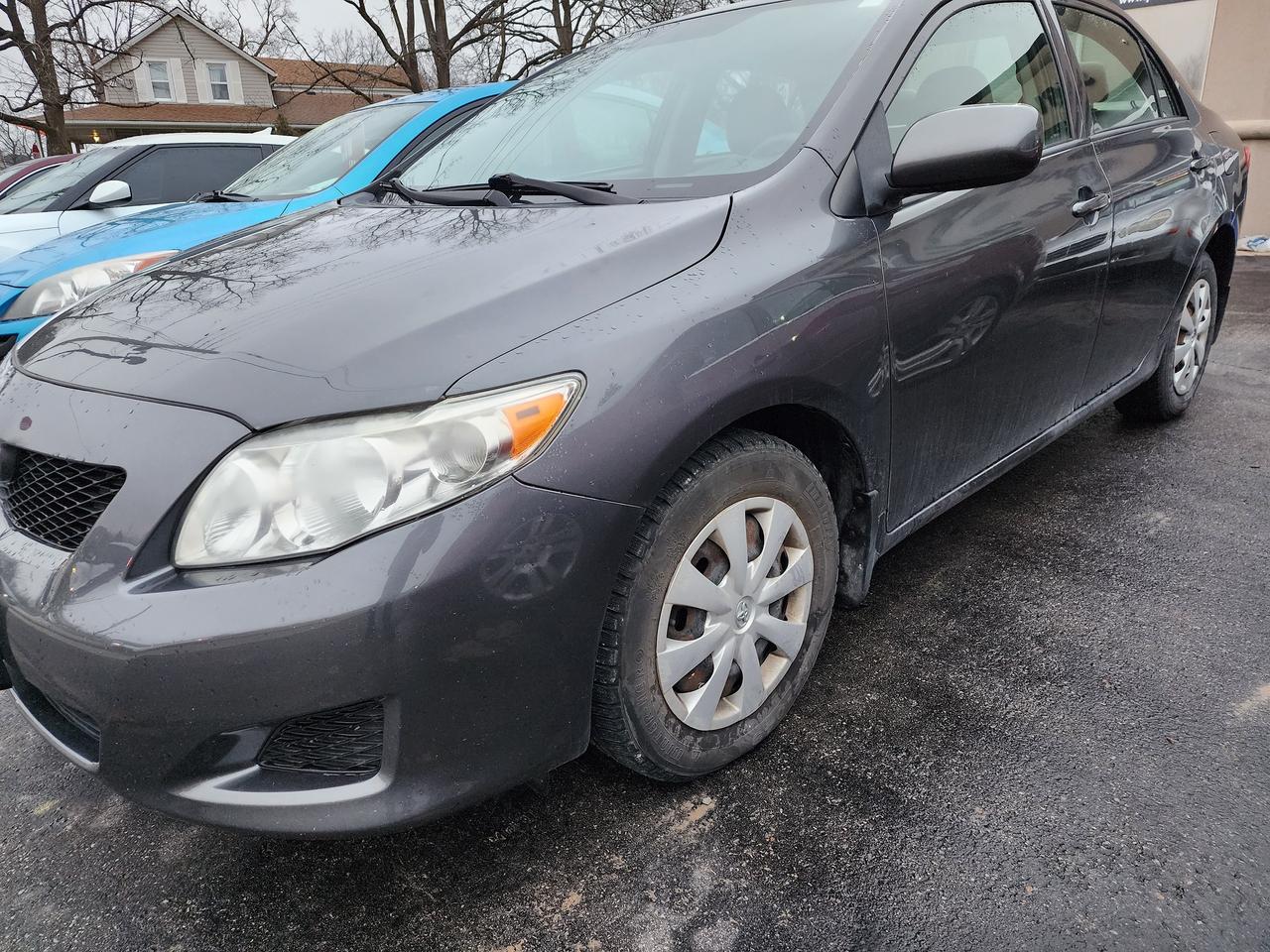 2009 Toyota Corolla  Photo