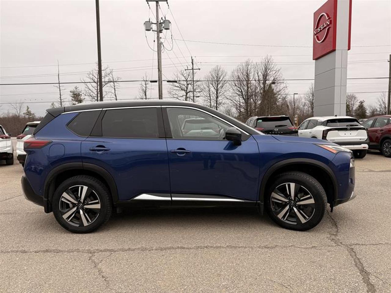 2022 Nissan Rogue Platinum CVT (2) Photo3
