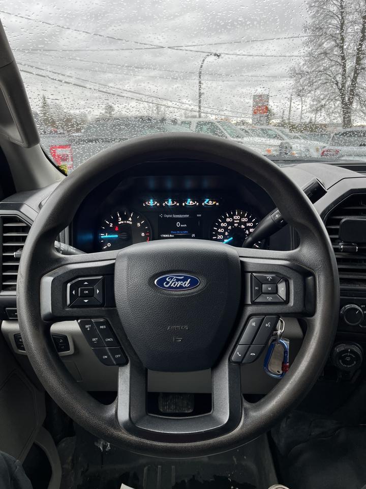 2019 Ford F-150 XL Photo
