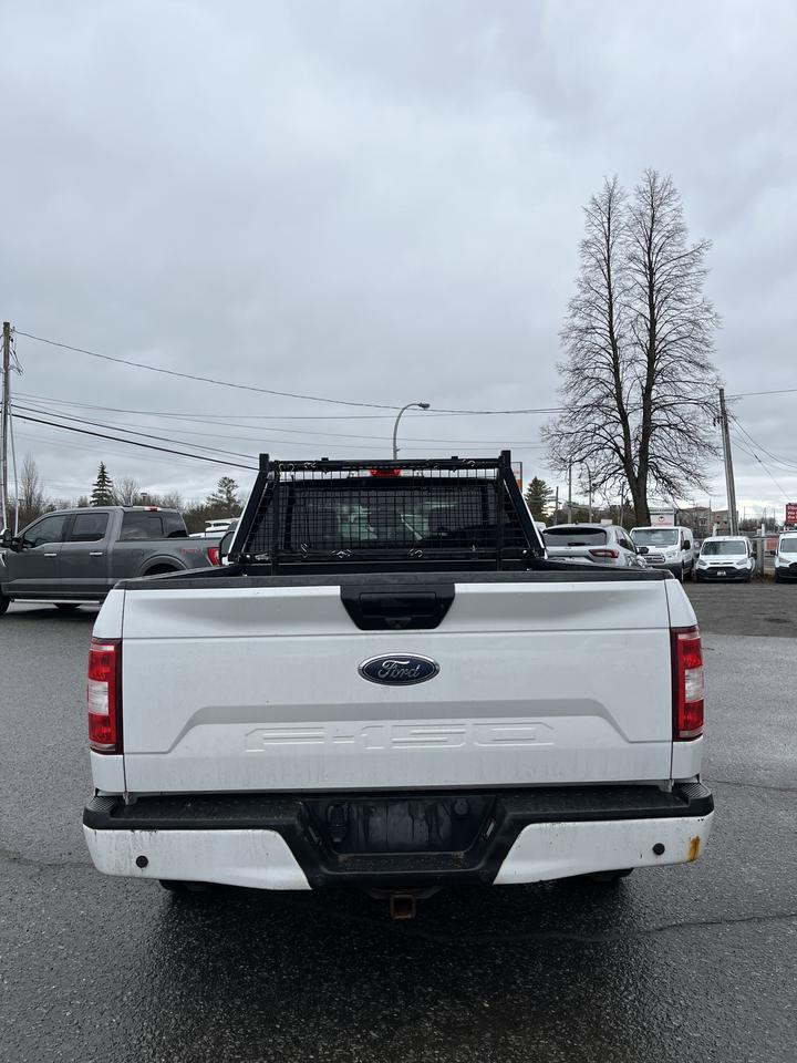 2019 Ford F-150 XL Photo
