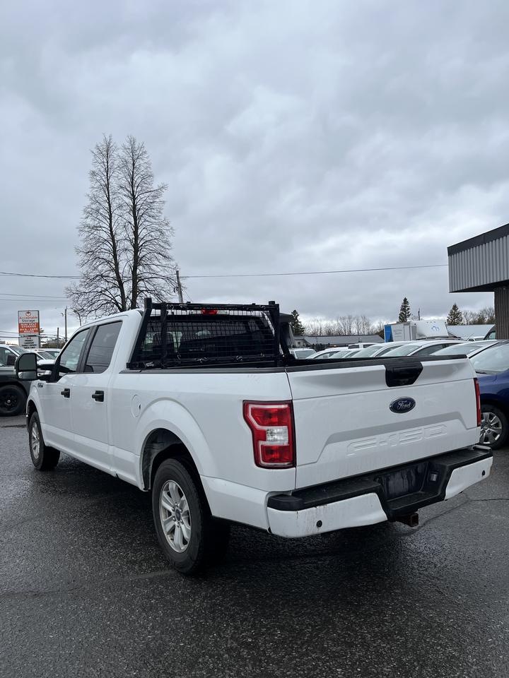 2019 Ford F-150 XL Photo