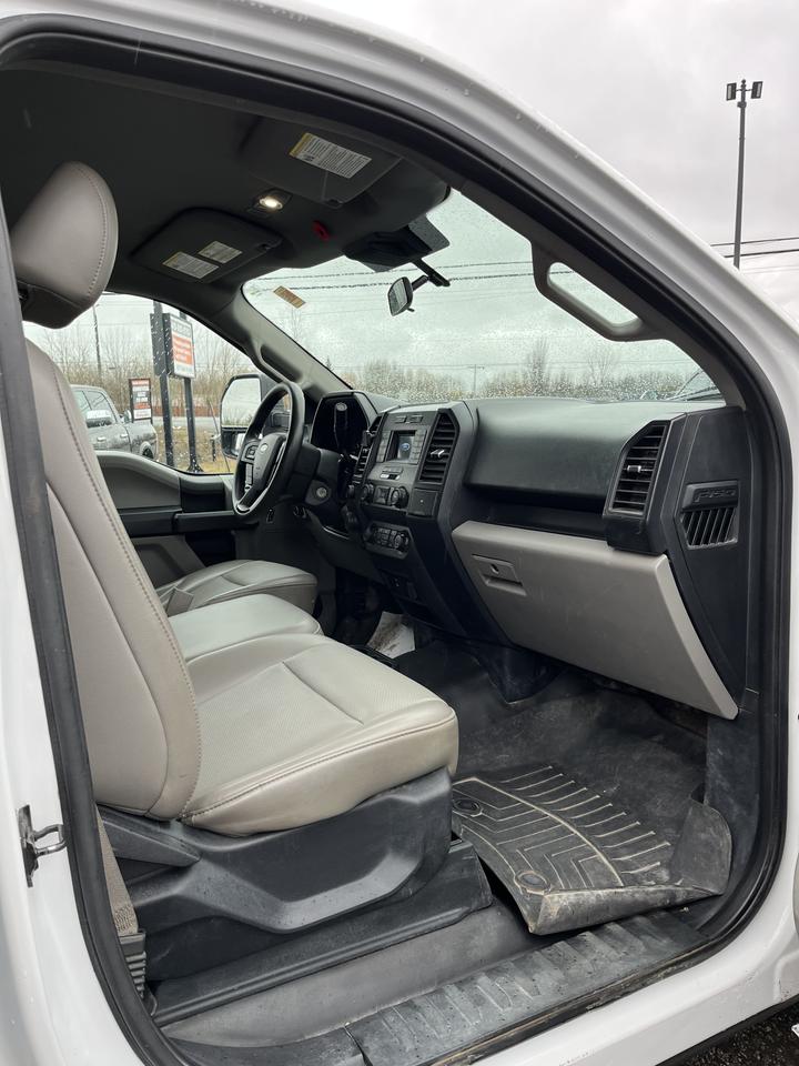 2019 Ford F-150 XL Photo