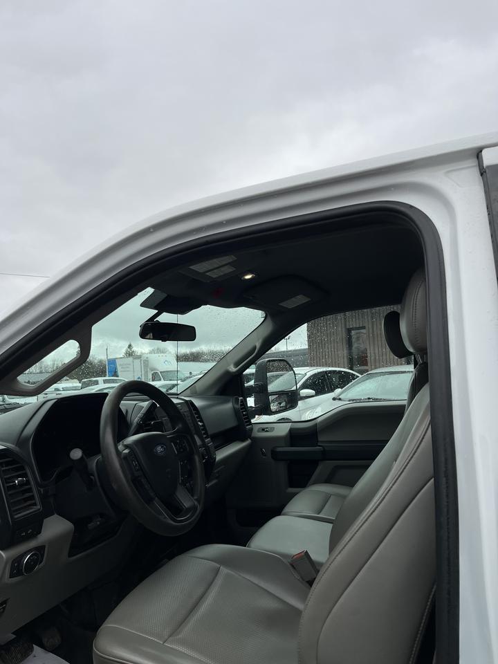 2019 Ford F-150 XL Photo