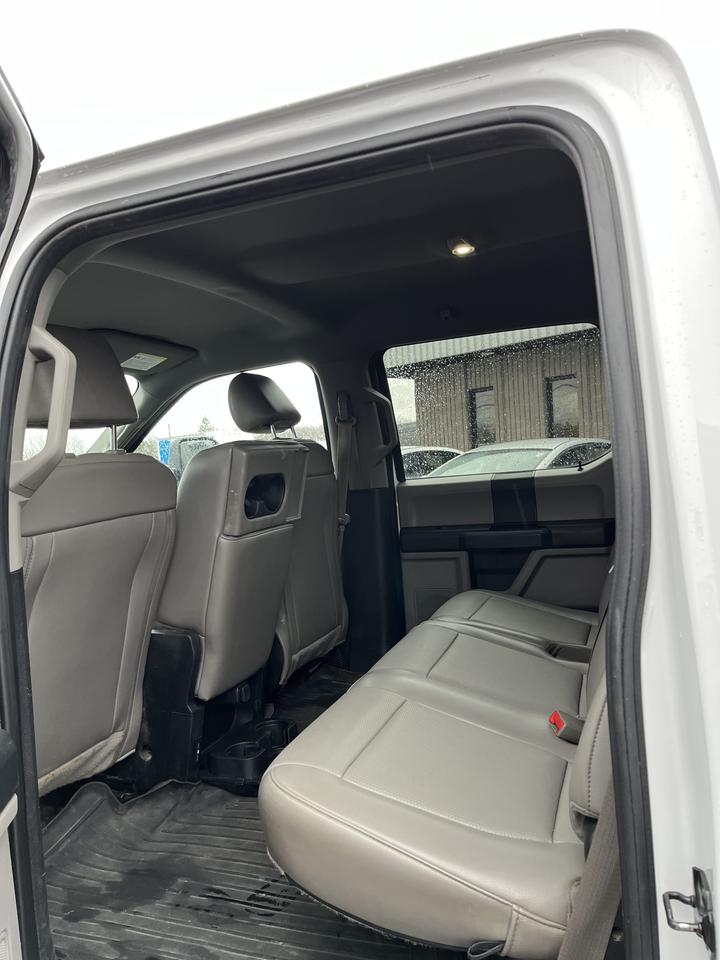 2019 Ford F-150 XL Photo