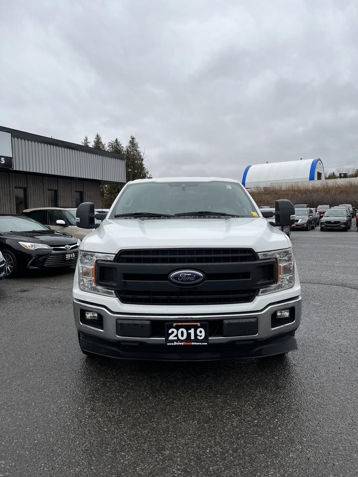 2019 Ford F-150 XL Photo