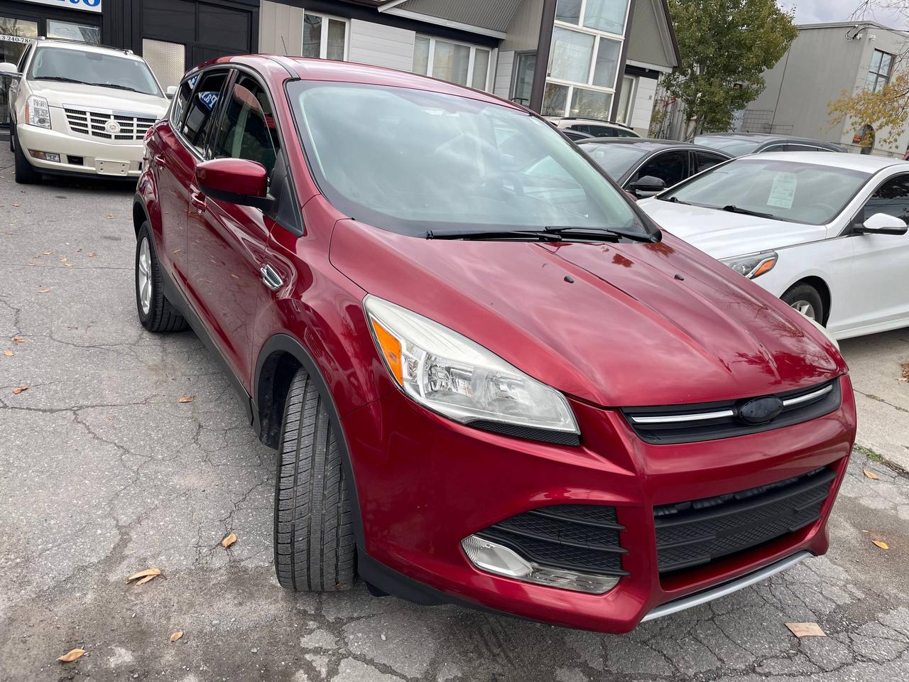 2014 Ford Escape SE Photo