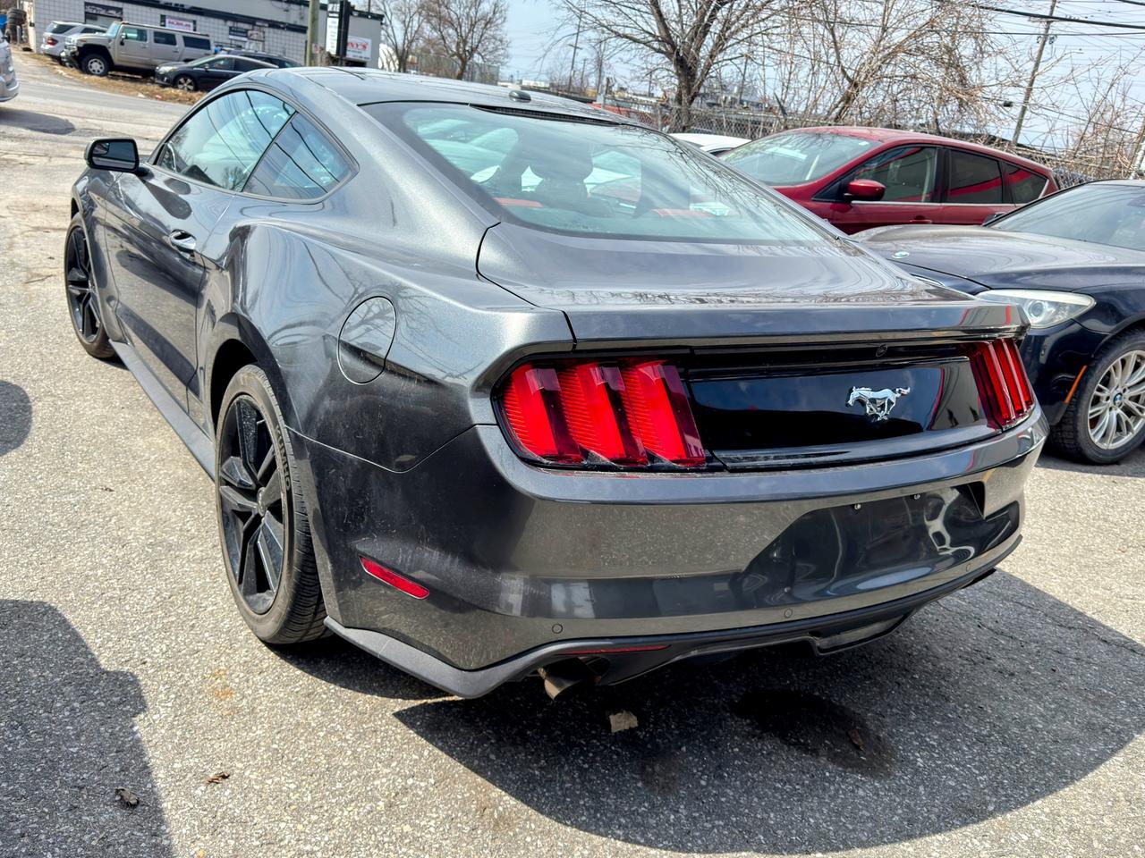 2015 Ford Mustang  Photo3