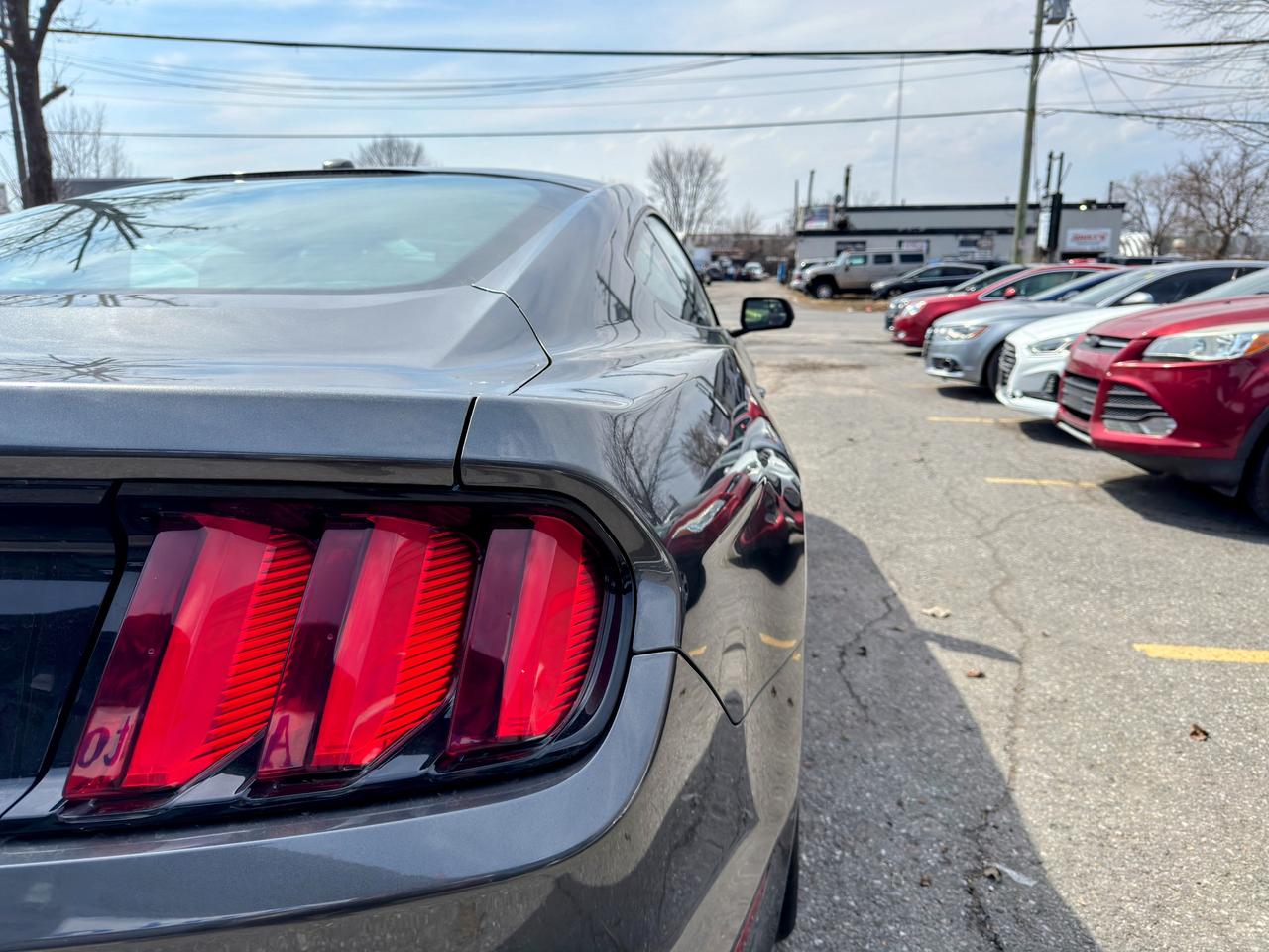 2015 Ford Mustang  Photo