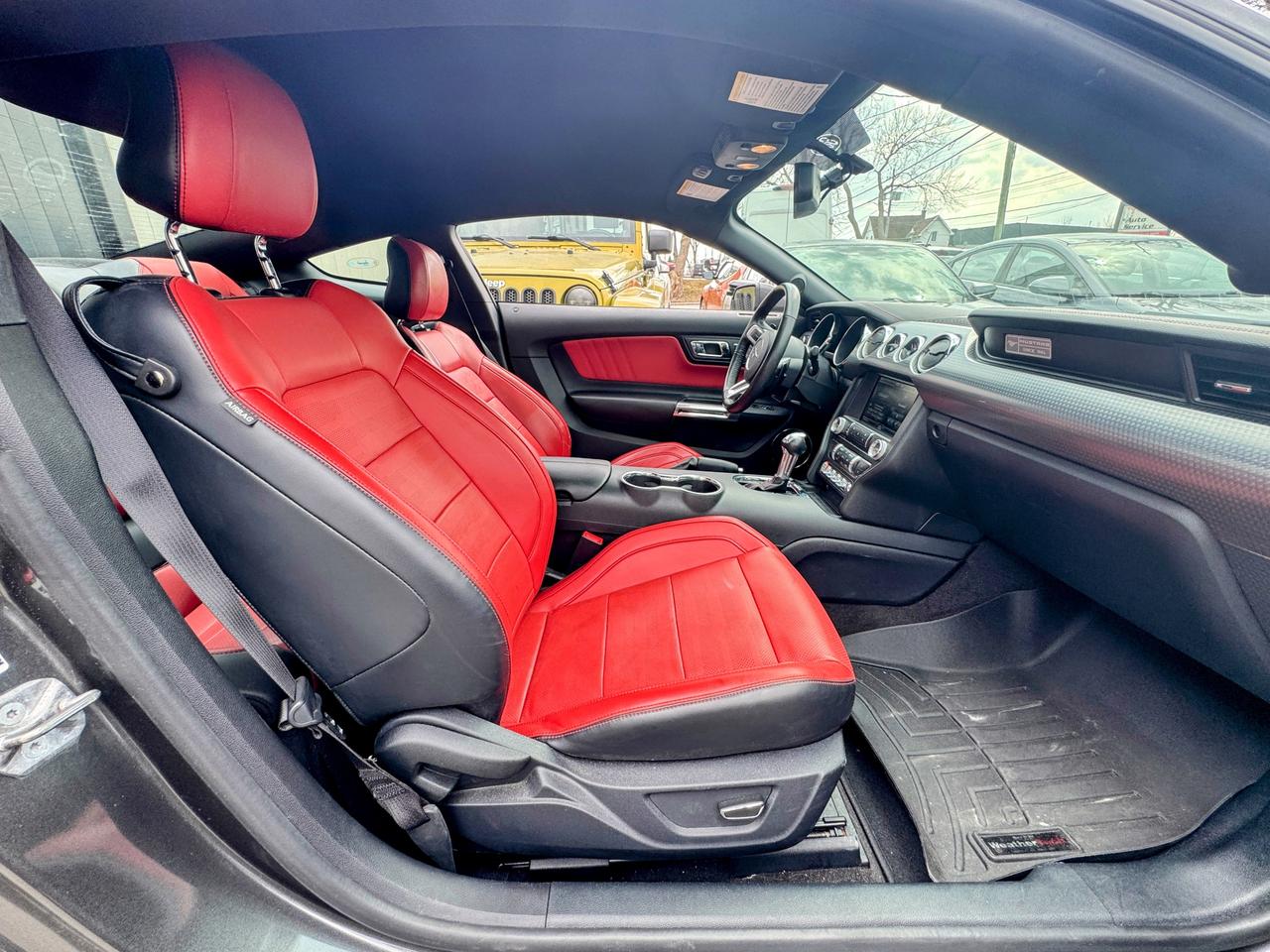 2015 Ford Mustang  Photo