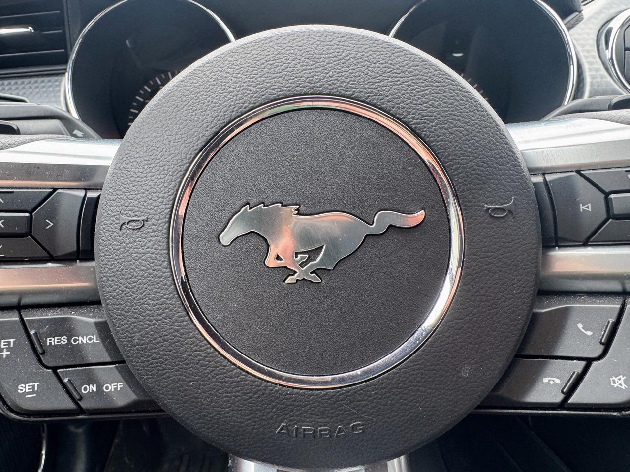 2015 Ford Mustang  Photo