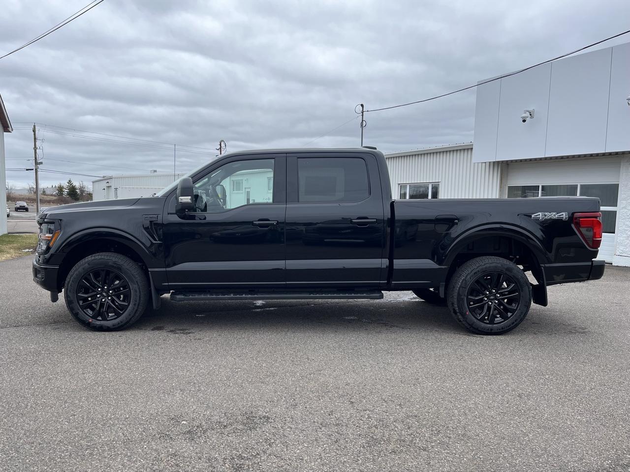 2026 Ford F-150 XLT 4WD SuperCrew 6.5' Box Photo3