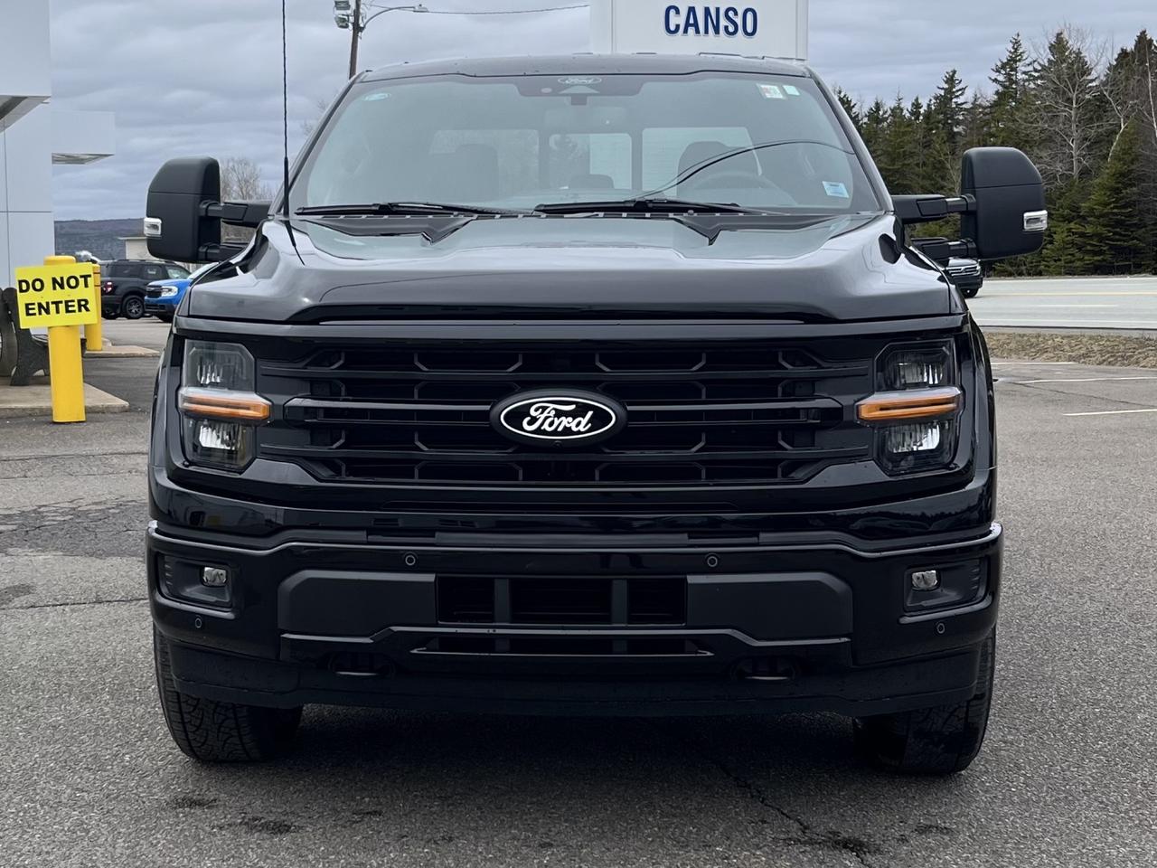 2026 Ford F-150 XLT 4WD SuperCrew 6.5' Box Photo1