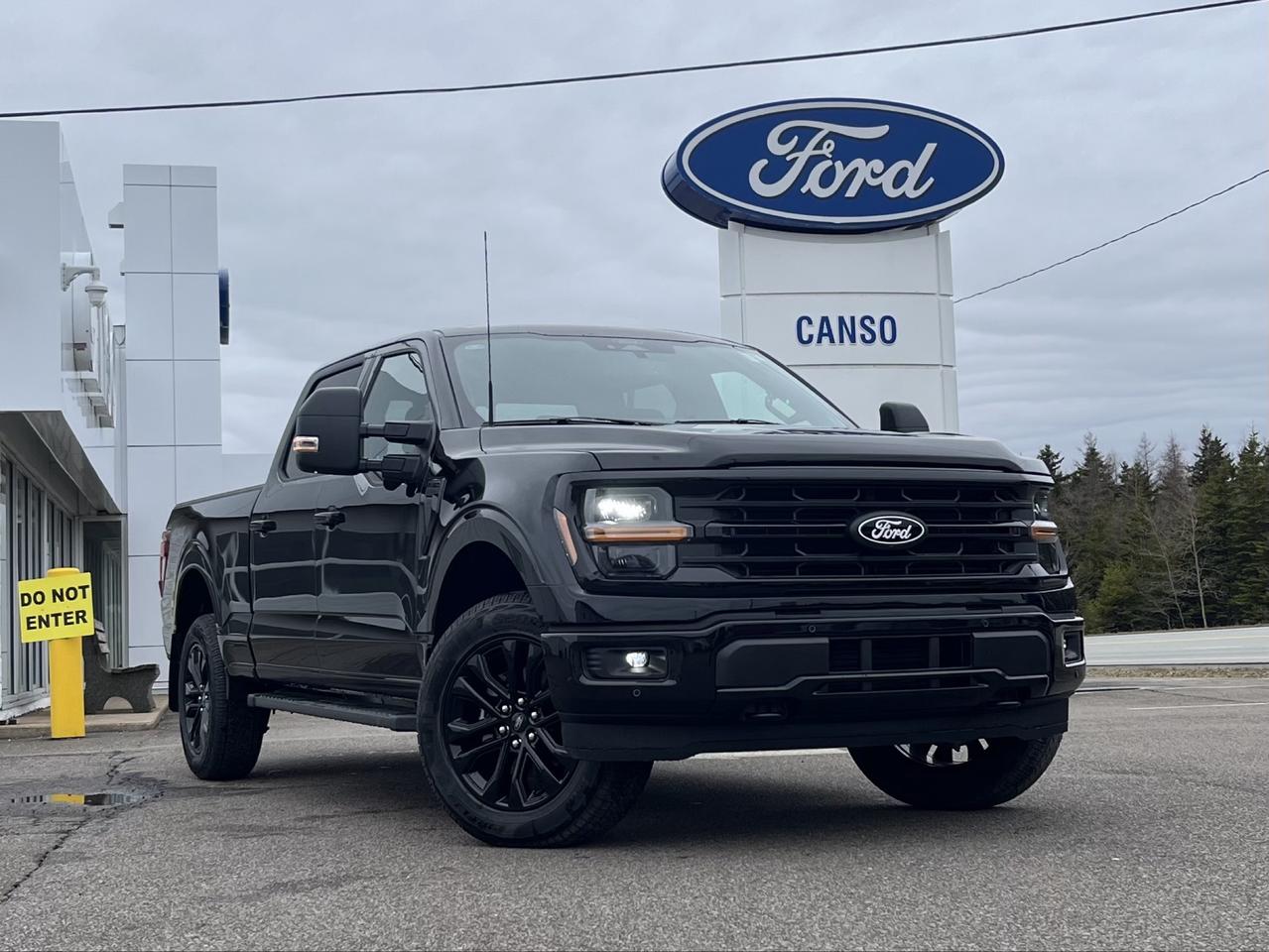 2026 Ford F-150 XLT 4WD SuperCrew 6.5' Box Photo0