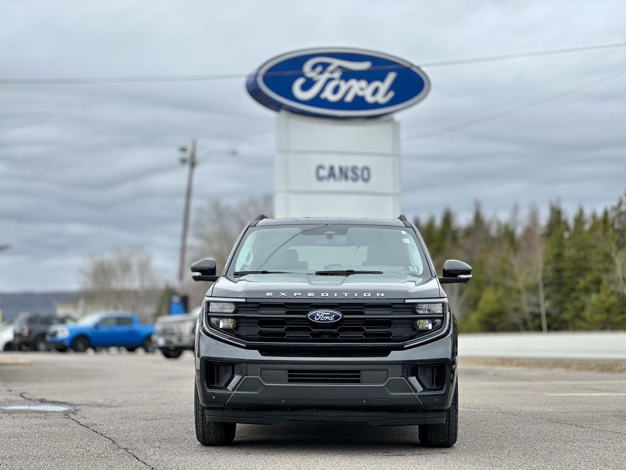 2026 Ford Expedition ACTIVE 4X4 Photo1
