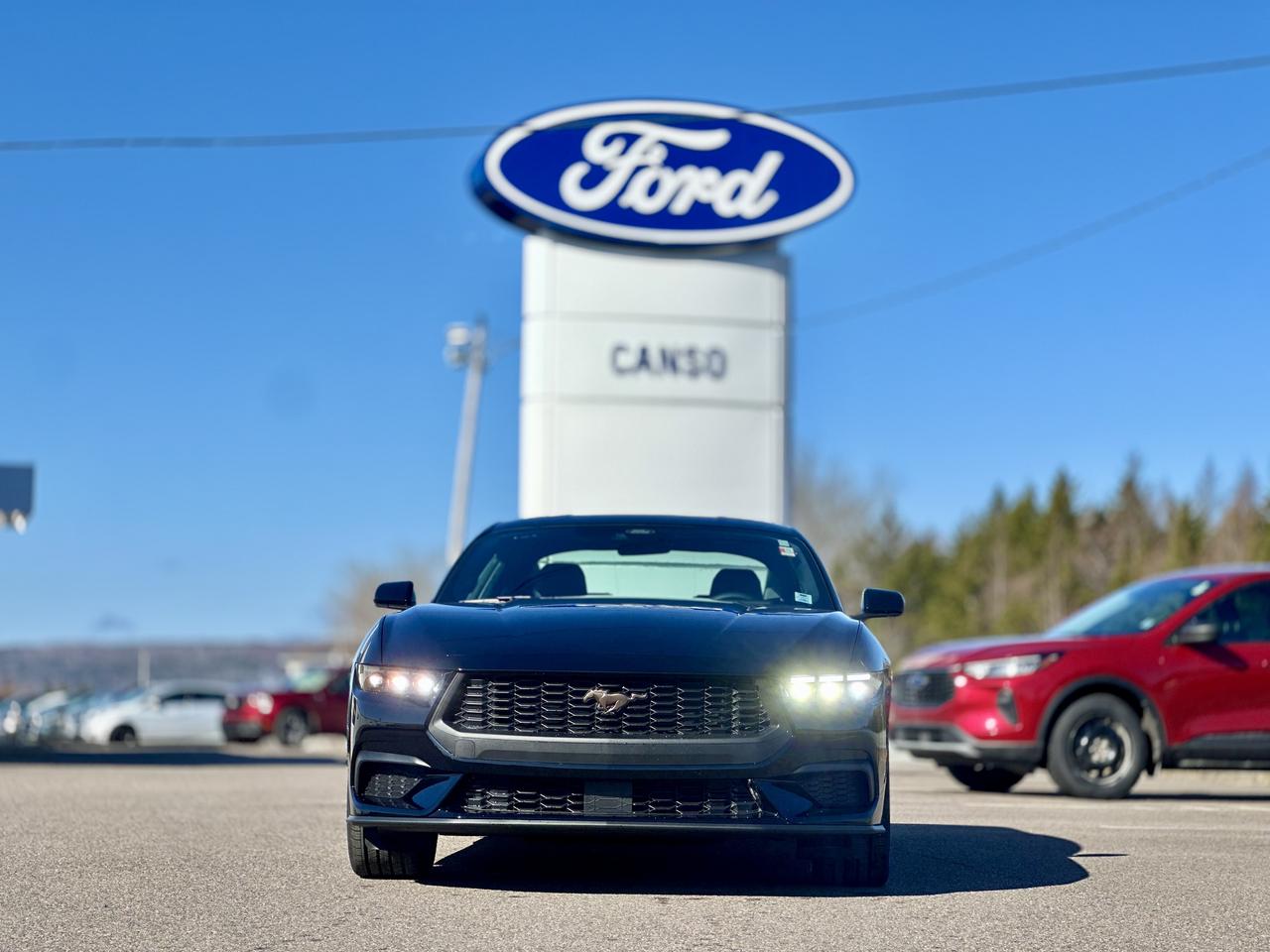 2026 Ford Mustang EcoBoost Premium Fastback Photo1