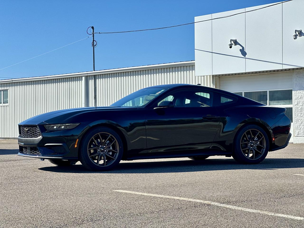 2026 Ford Mustang EcoBoost Premium Fastback Photo3